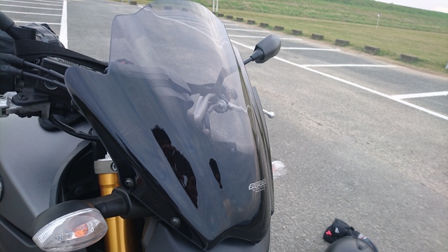 DSC_1201.JPG